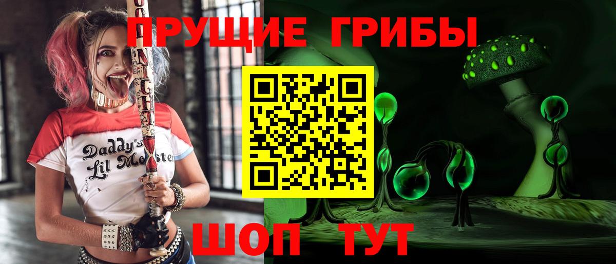 Псилоцибиновые грибы Cubensis  Псилоцибиновые грибы GOLDEN TEACHER  Вход с VPN  Топки 